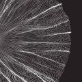  Dynaver GS ABSTRACT 1-Sans cad 