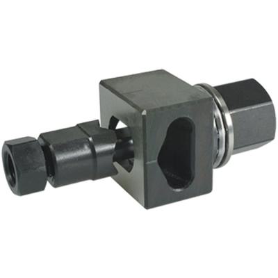  EVODD2017P P DD 20.2X17.6 MM 