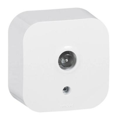  PROFIL ECO PRISE TV 