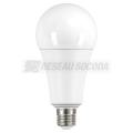  LPE LED STD E27 19W/4000K 