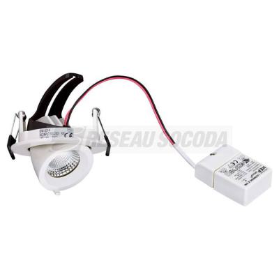  RANDY S BLC 36� 7,7W/3000K 