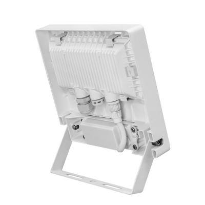  MICHELLE 50W/4000K SENSOR BLC 