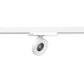  BOKEN 023 36� CCT BLC/BLC 