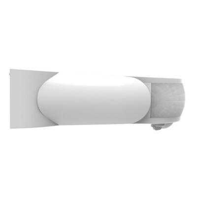  DETECT IR X2 ORIENTABLE MUR 