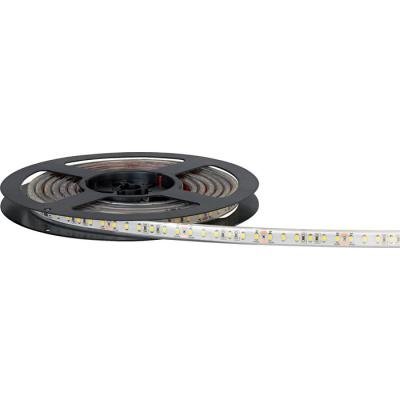  FLEXI LED 120 BLEU / 5M 