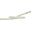 FLEX-LED 4 IP20 3000K 5M 