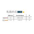  CONNECTEUR RUBAN COB CTC IP20 
