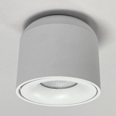 SPOT SAILLIE/SUSPENSION 6/8W 4 