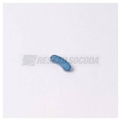  LENTILLE BLEUE POUR VOYANT 