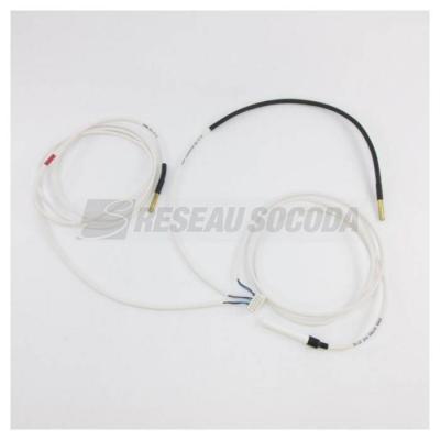  FAISCEAU 3 SONDES CETHI 