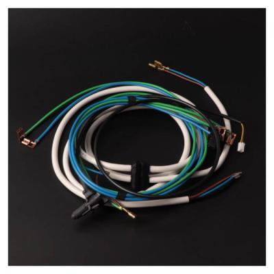  FAISCEAU ELECTRIQUE + SONDE 