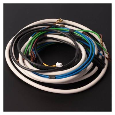  FAISCEAU ELECTRIQUE + SONDE 