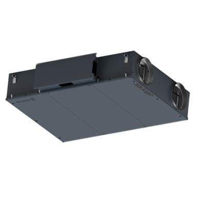  SERENCIO P LP 1000 G1 