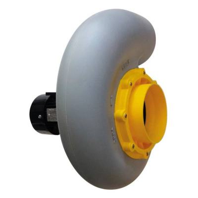  Ven cent pp tail50 T 