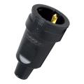  Kopp 180416004 Fiche Femelle 2 