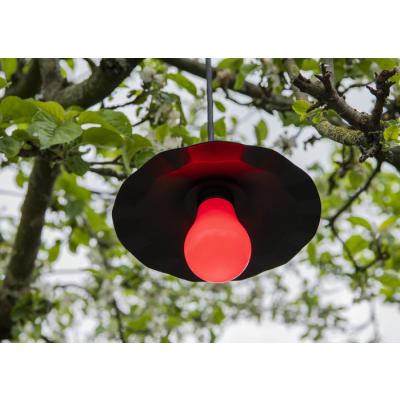  Ampoule LED Party A60 E27 5W R 