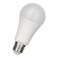  True-Light LED A56 E27 12W 955 