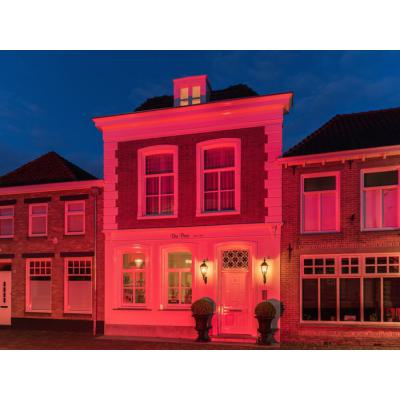  Projecteur LED Couleur 50W Rou 