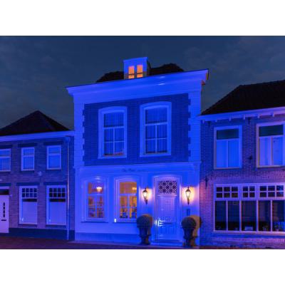  Projecteur LED Couleur 50W Ble 
