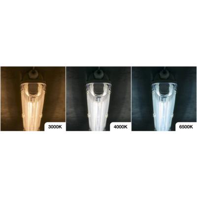  LED Ecoplus T8 Switch 1500mm 3 