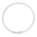  TL5 Circular 2GX13 22W 840 176 