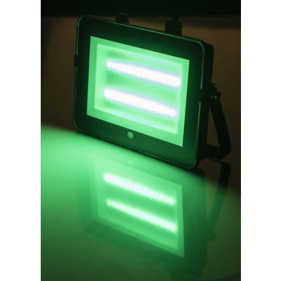  LED Projecteur RGBW Basic 50W 
