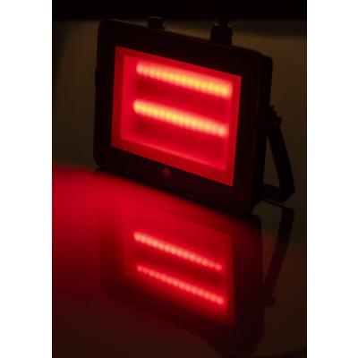  LED Projecteur RGBW Basic 50W 