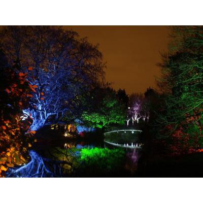  LED Projecteur RGBW Basic 50W 