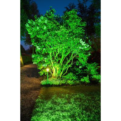  LED Projecteur RGBW Basic 50W 