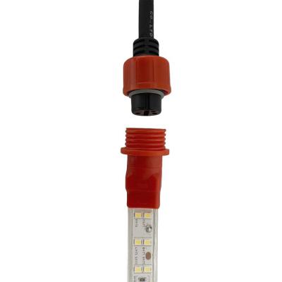  Robust LED Rope Plus 2S 20m 65 