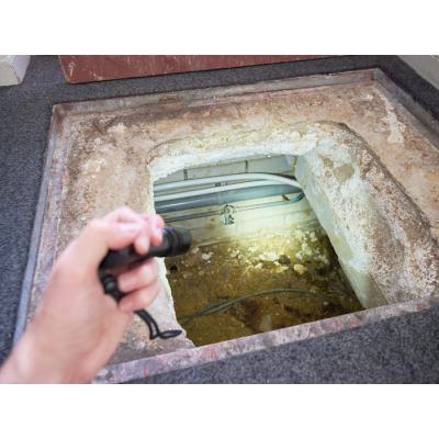  RoBust LED Torche 5W 6500K 550 