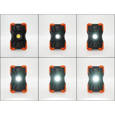  RoBust LED Portable 20W 2000lm 