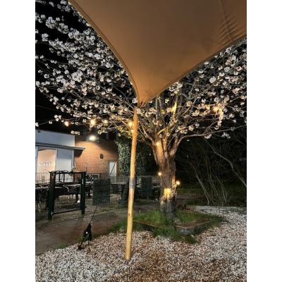  DIP LED-7 E27 0.7W 50lm 2500K 