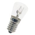  E14 P22X48 24V 10W C-2V 