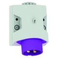  Connect S 24V 2P 16A IP44 TBT 