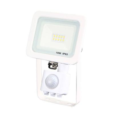  projecteur pad detect 10w 