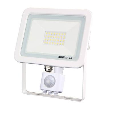  projecteur pad detect 30w 