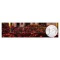  Rideau led + flash-230V-2x1,5m 