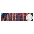  Rideau led-230V-2m x 5m 
