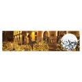  Guirlande SPARK LIGHTr led-20m 