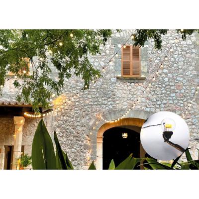  Guirlande LEDMOSPHERE 10m 