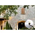  Guirlande LEDMOSPHERE 50m-WW 