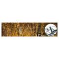  Guirlande led+Flash-20m 
