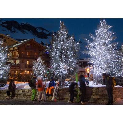  Guirlande led+ flash-20m 