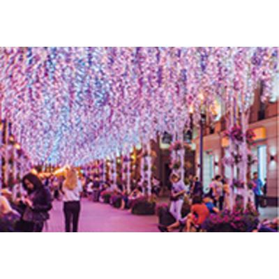  Guirlande led+ flash-20m 