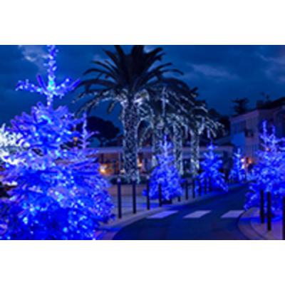 Guirlande led+ flash-20m 
