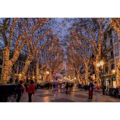  Guirlande led+ flash-20m 