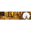  Guirlande led+ flash-20m 