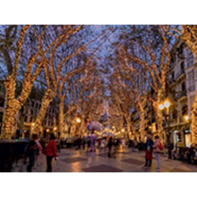  Guirlande led+ flash-20m 