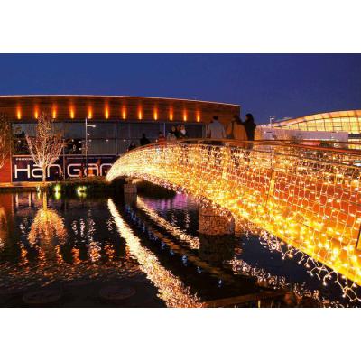  Rideau led+ flash-230V-2x1,5m 